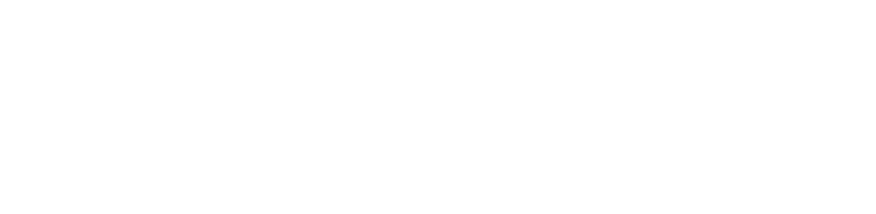 Videofied 4G